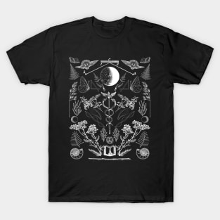 Venus Cazimi T-Shirt